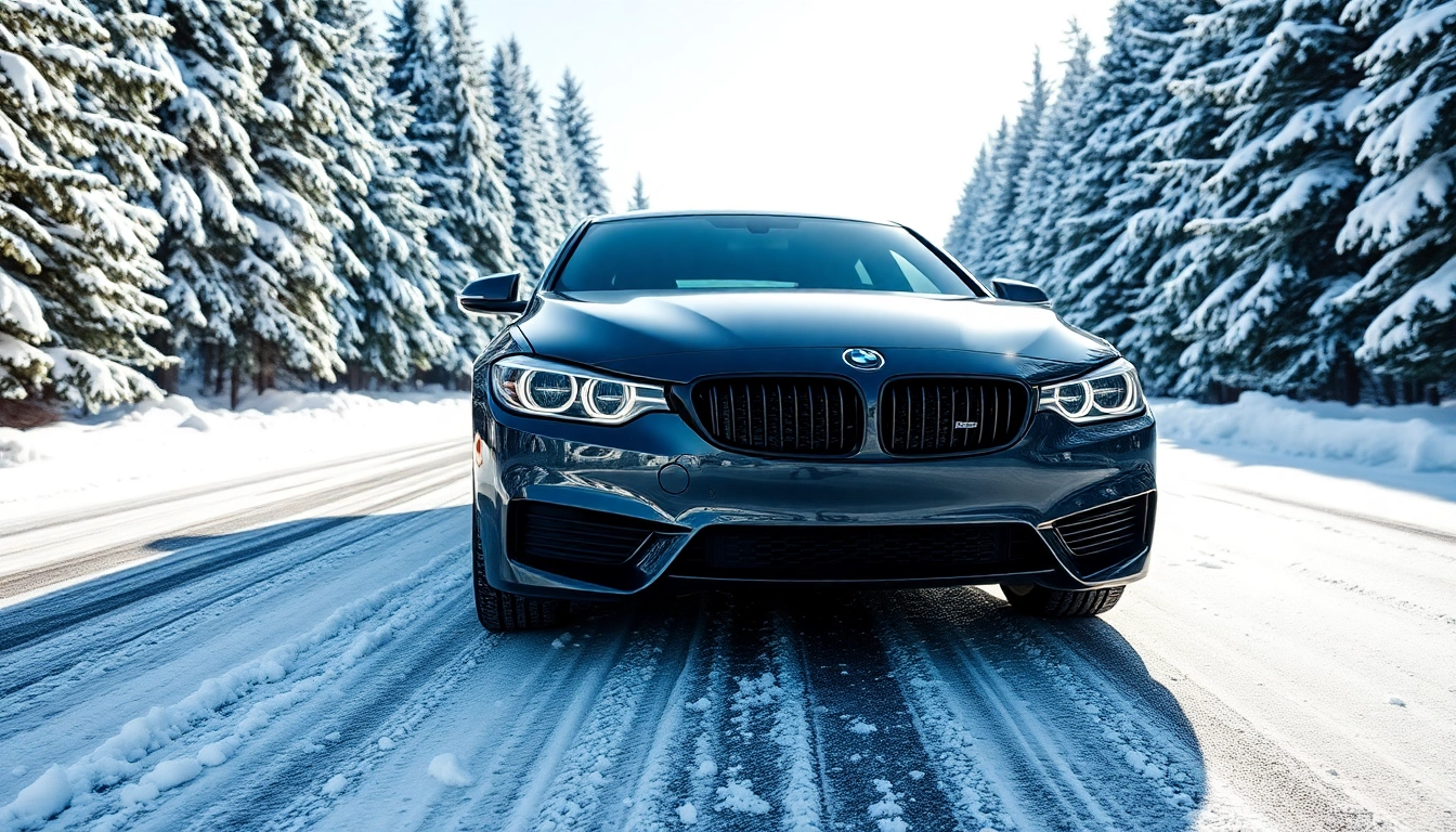 PPF winter road salt protection displayed on a vehicle ready for winter conditions.